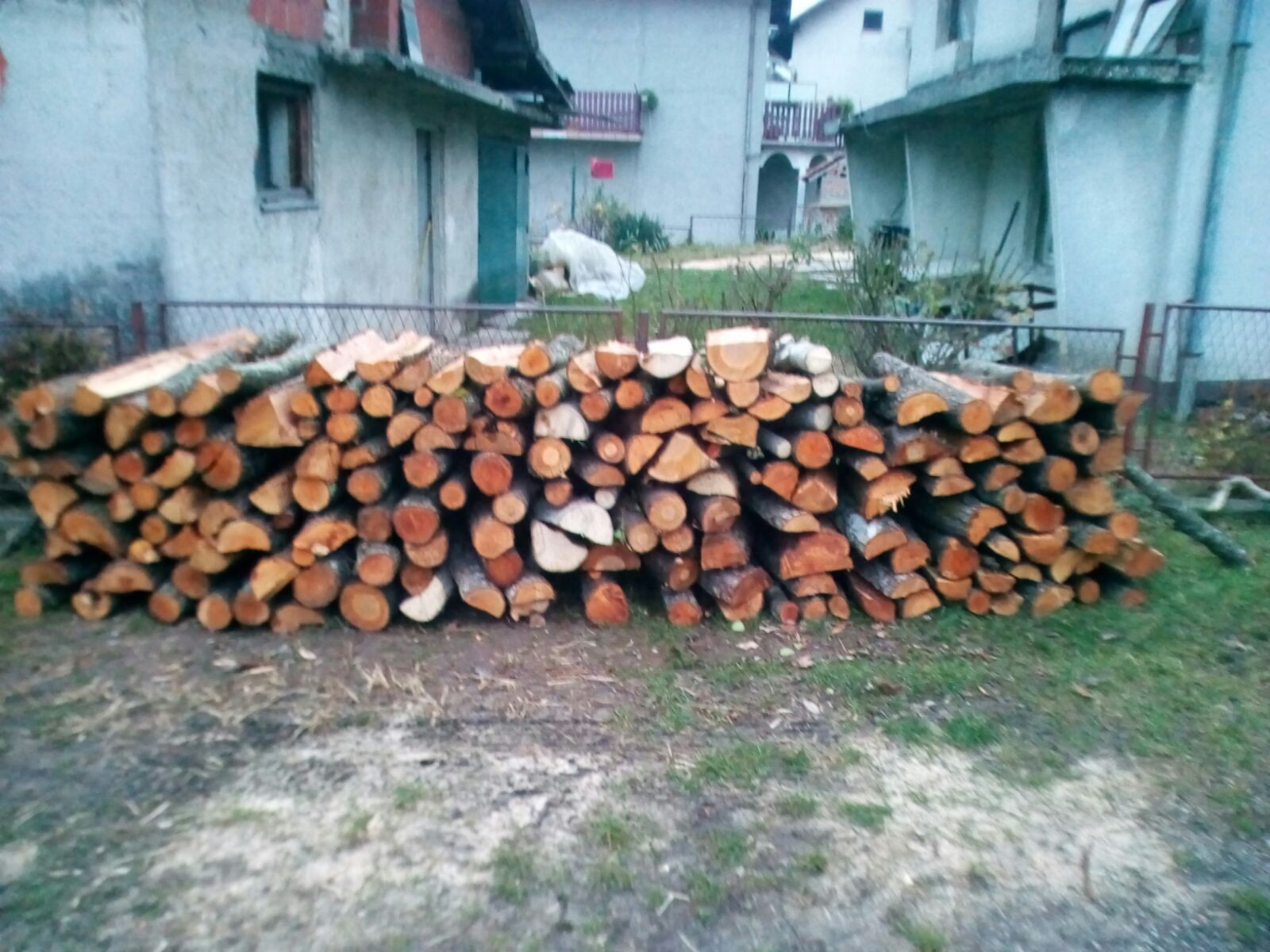 drva-hod4